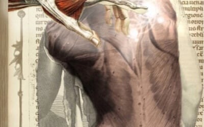 Getting rid of back pain…